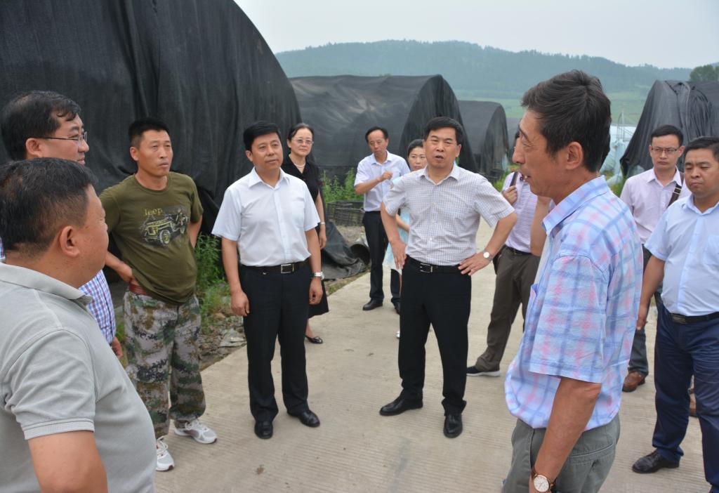 党委书记王育伟,校长孙事宜带队到爱民区考察与先民v事宜初中海宁庆云地方图片